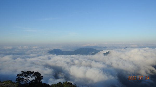 最高小百岳-大塔山2663M&阿里山二延平步道1775032