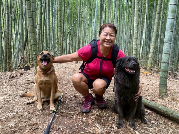 溪頭山、竹崙山、志騰山、妖怪村2877915