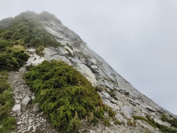 北一段(06/14)巴巴山 2025_0906~132886703