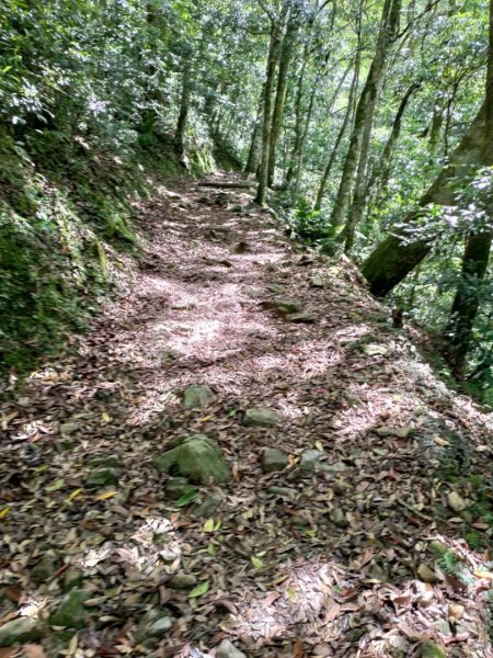 20210403東眼山1372407