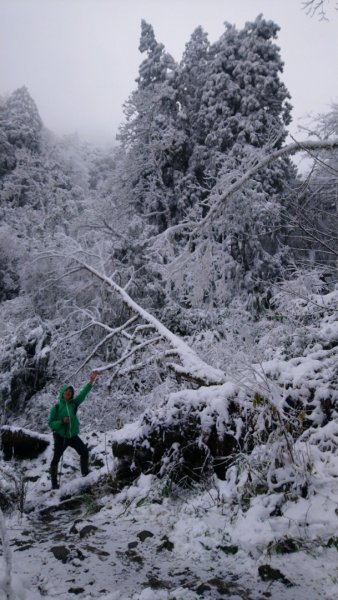 冰雪奇緣歷險記～加羅湖（未盡）1237564