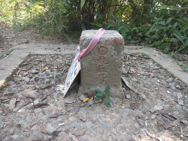 貓空隨意行［樟湖步道、待老坑山、杏花林、明德宮、樟山寺］及政大小坑溪親水文學步道(2021/4/6)1417885