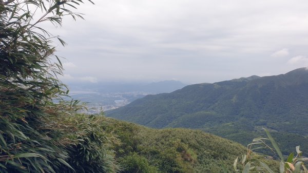 收集小百岳 002 台北七星山 20210801(一)1792576