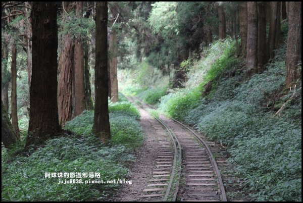 消失的阿里山眠月線封面