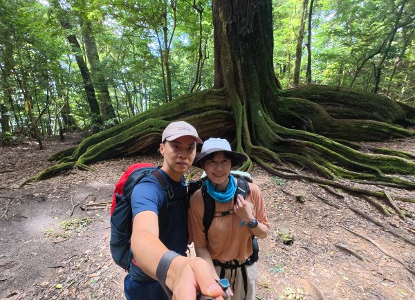 雪見大板根2924693