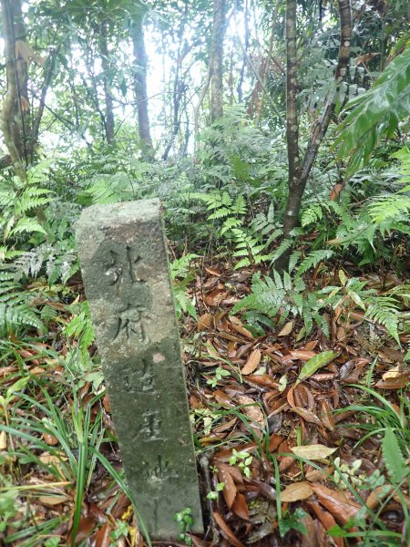 2022-04-01　天氣陣雨，翡翠坑山探索1660642