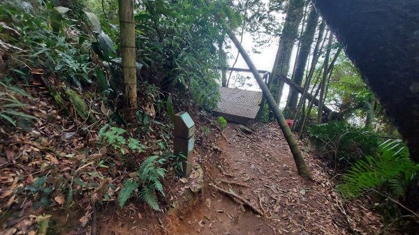 水社大山水社主峰新年二部曲1598813