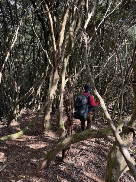 【沒有】【倚天劍】2985267