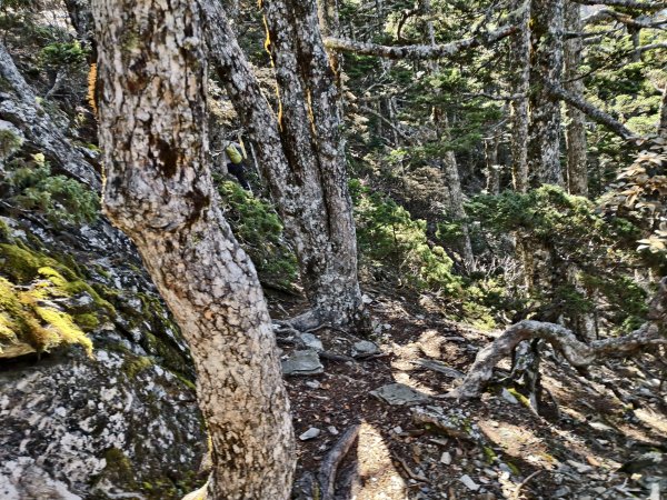 北一段(09/14)南湖東南峰 2025_0906~132887052