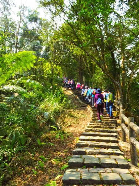 【新竹橫山】大崎棟古道107523