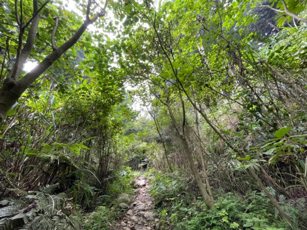 雨中鵝公髻山1823744