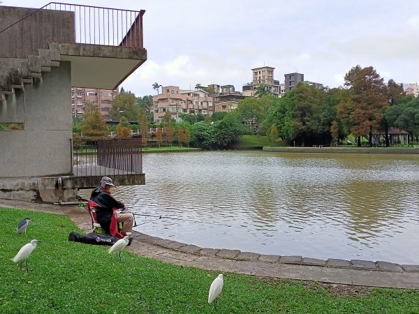 大溝溪生態治水園區、大湖公園 (防災公園) 【走路趣尋寶】1898044