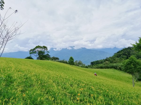 不得其門而入之叢林秘境#92小百岳萬人山734777