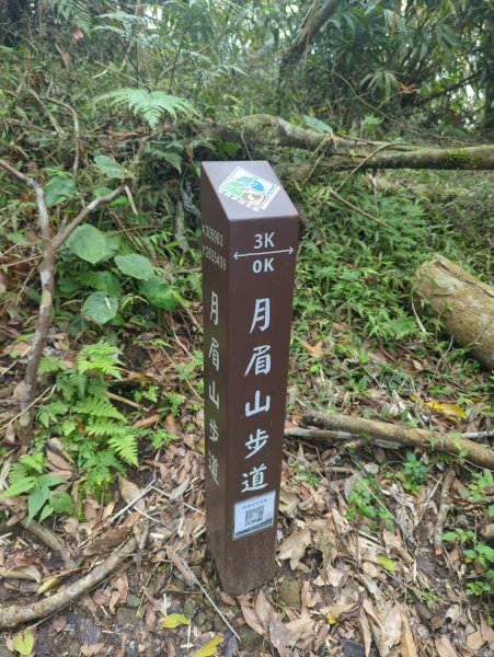 2025.02.27－月眉山2727910