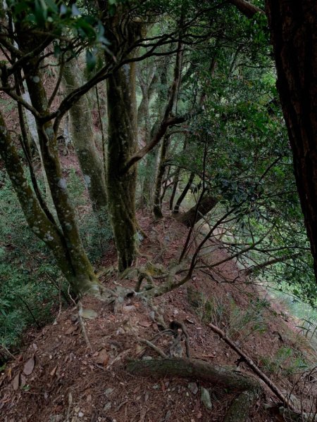 210林道騎行順登山椒山、烏石坑山  2022.10.231912673