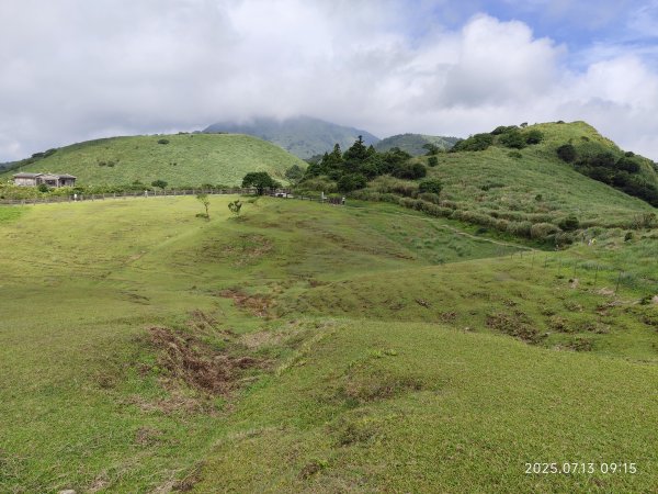 擎天崗→石梯嶺→頂山→風櫃嘴→天溪園→聖人橋【任務二 2025臺北大縱走 3+4】2836574