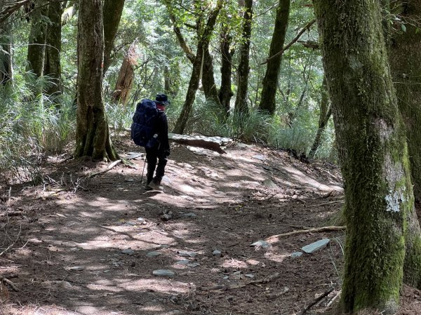 屏風山屋住一晚2916009