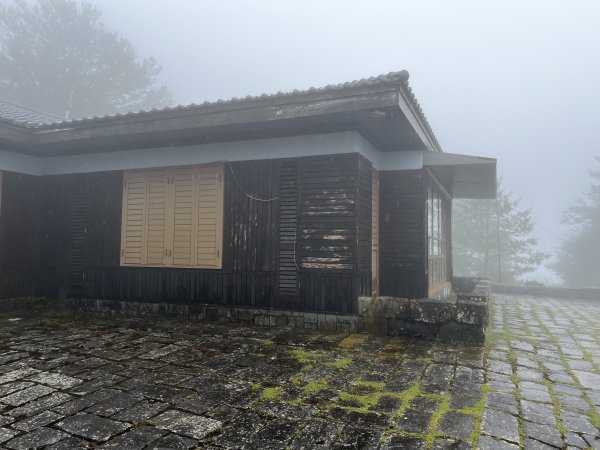 鹿林山-鹿林前山-真鹿林山-石水山-石水山基點峰 2025.5.252798406