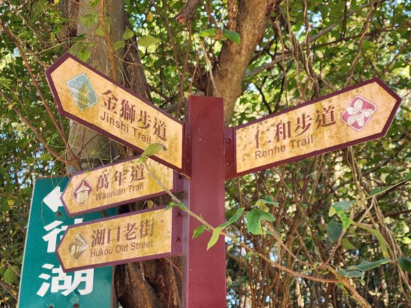 新竹湖口｜萬年道、仁和步道、金獅古道、漢卿步道2912201