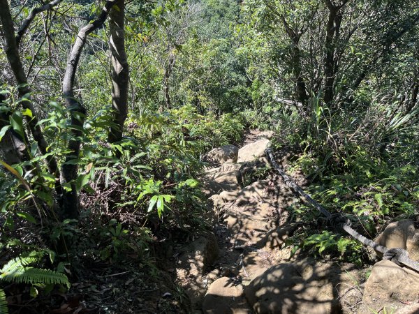 [微笑山線_第九段] 2025_0914 二格山系_皇帝殿東峰2889515