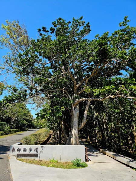 墾丁國家森林遊樂區步道群-(屏東)臺灣百大必訪步道2731228