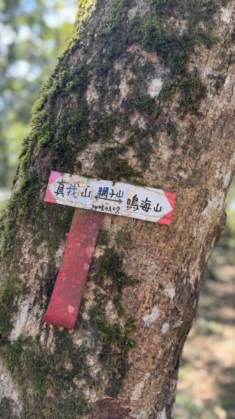 20260213 小百岳鳴海山3002963