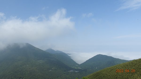 4/28陽明山再見雲海1691792