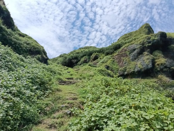 瑞芳區海園古道+鼻頭港稜+鼻頭山稜O型2872773