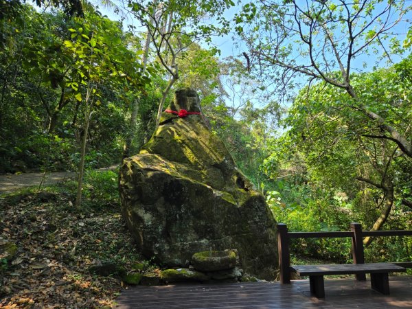 龍麟山步道2748669