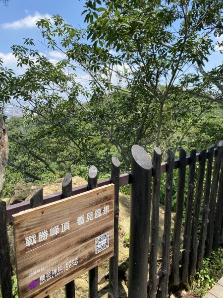 《夏日大坑同行記｜10號步道登稜線，與家人感受山風與人情味》2926355