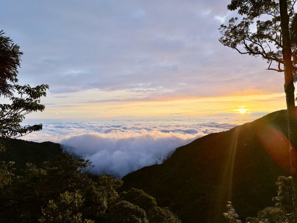 又來老地方避暑，順走小雪防火巷秘境  2026.7.1-23081457