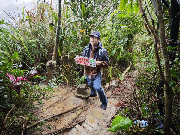 2026_0131 獅球嶺西砲台2997815