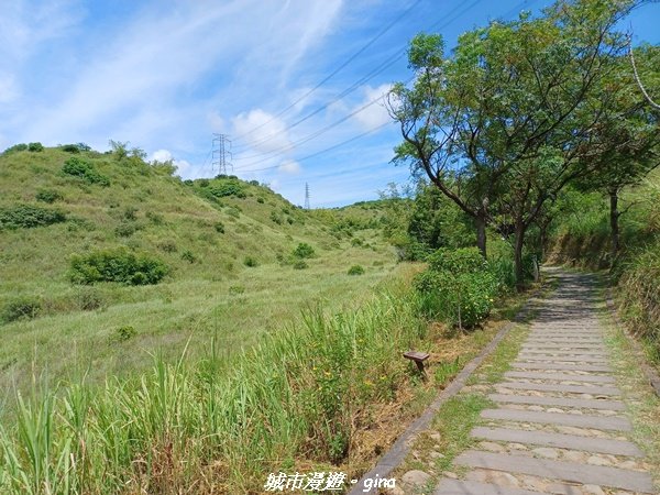 【台中龍井】老少咸宜步道悠閒走。 竹坑南寮登山步道1815536