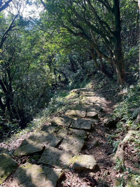 土城頂埔捷運站-大暖尖山-火焰山-承天路-石壁寮溪棧道-永寧捷運站2896429