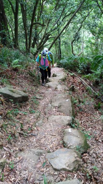 探尋五指山古道!171294