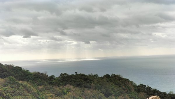 20251115_草嶺古道追芒趣2942942