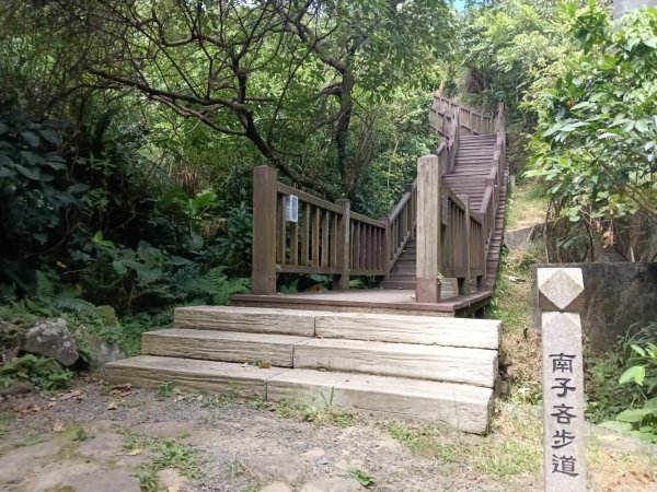 瑞芳區南子吝山+南子吝山稜(黃金七稜)+保羅尖8字走2873667