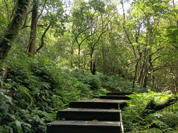 基隆市荖寮坑古道+十分古道(暖東舊道)+頂子寮山(嶺頭土地公)P字走2821500