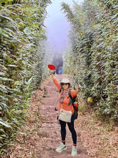 大屯山(小百岳# 001) &小油坑山2898849