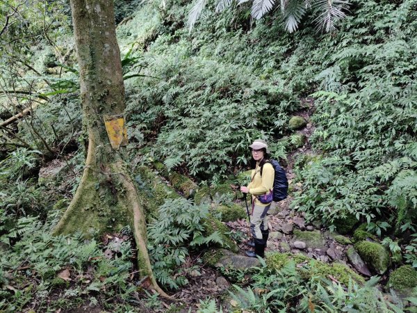 向天湖三山+ 南大龜山3012321