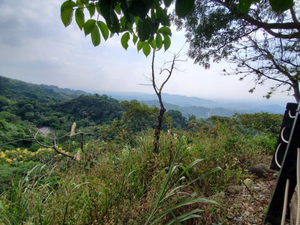 台中大坑頭嵙山697989