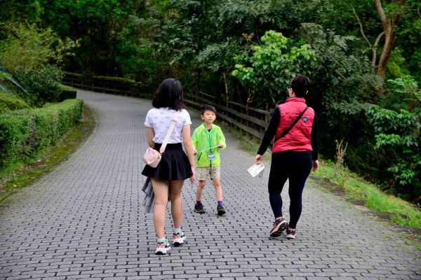知本國家森林遊樂區步道之一870810