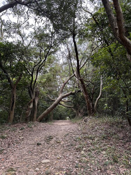 醉翁之意不在酒的【五酒桶山步道】輕鬆走～1900649