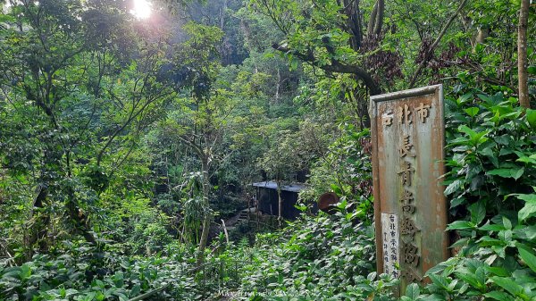 《台北》城市晨運｜虎山親山自然步道（松山慈惠堂）202505222795761