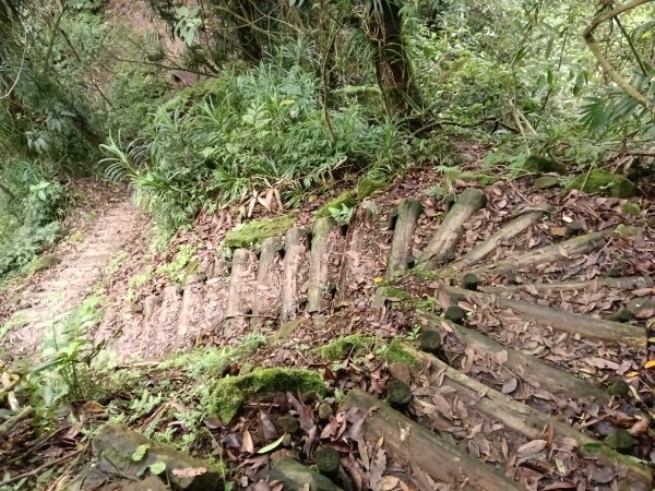 平溪區三功大厝+番子坑山+千階嶺步道O型2781176