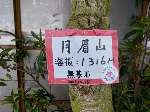 梅山鄉撿山頭2449378