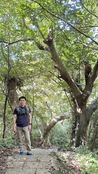 夏日避暑古道→坪頂古圳．坪頂新圳．登峰圳.大崎頭O型2285712