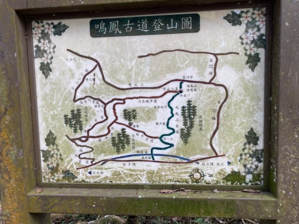 鳳鳴古道3060574