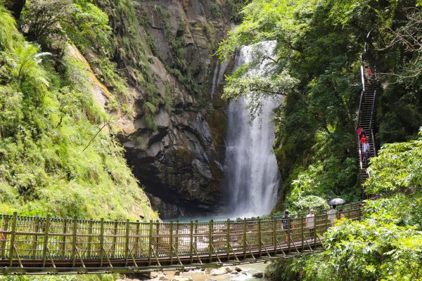 【觀音瀑布】『觀音垂柳』奇景 ，夢幻『飄谷雨』， 嘉義觀音瀑布重磅回歸!!