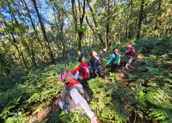 20260104源茂山.源茂山西峰.和尚髻山O走+親水觀魚步道2977721
